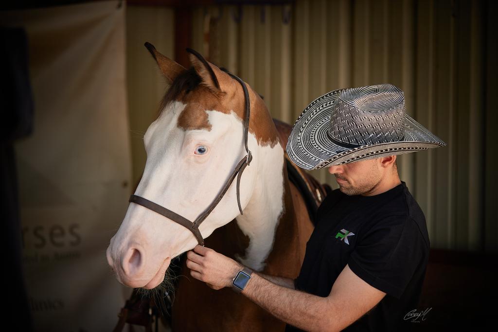 PK Performance Horses Kevin Preparing Horse