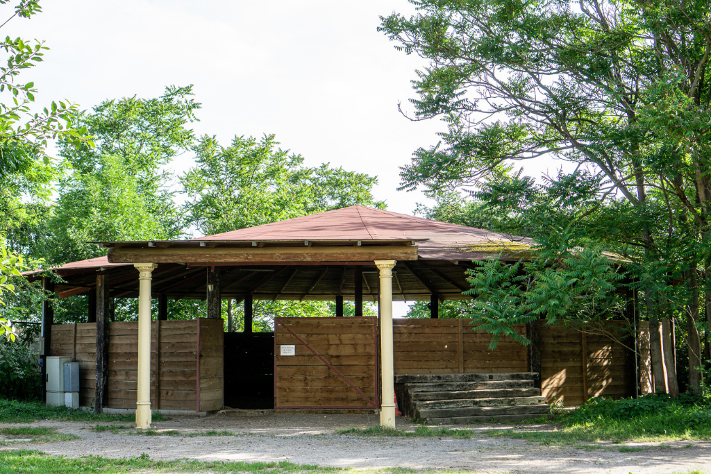 PK Performance Horses Round Pen