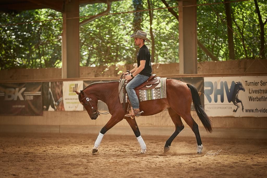 PK Performance Horses Trotting Straight