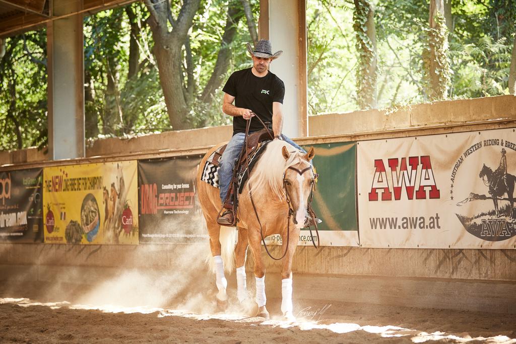 PK Performance Horses Walking Palomino