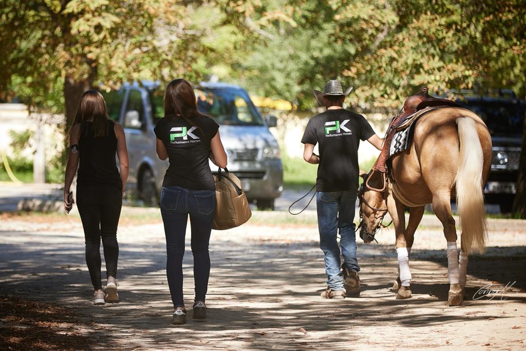 PK Performance Horses Walking Team